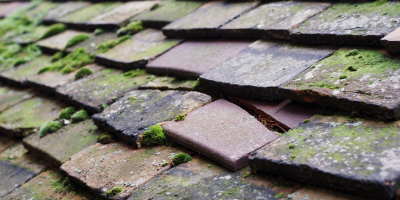 Llandewi Skirrid roof repair costs